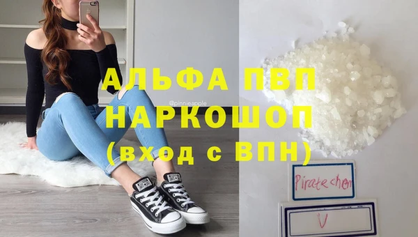 прущие грибы Корсаков