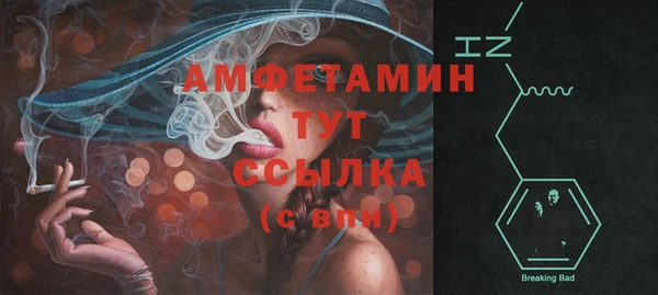 прущие грибы Корсаков