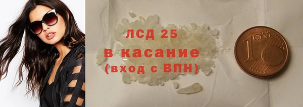 прущие грибы Корсаков