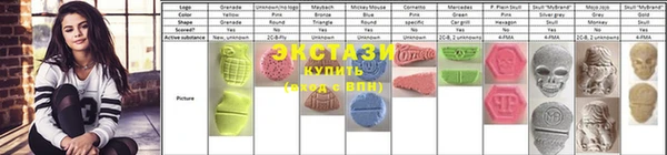 прущие грибы Корсаков
