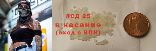 прущие грибы Корсаков