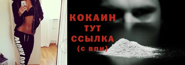 прущие грибы Корсаков