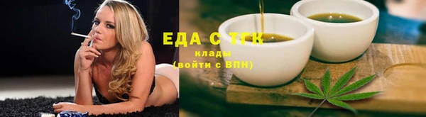прущие грибы Корсаков