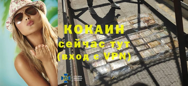 мдпв Коряжма