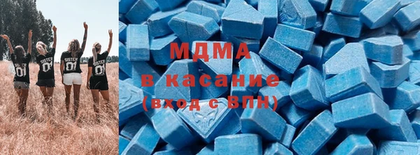 прущие грибы Корсаков