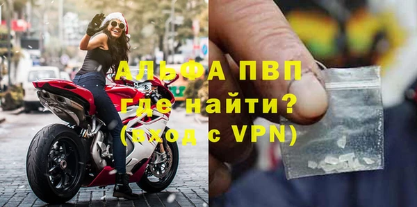 прущие грибы Корсаков