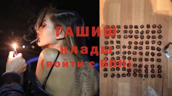 прущие грибы Корсаков