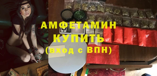 прущие грибы Корсаков